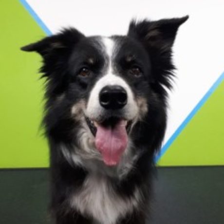Profielfoto